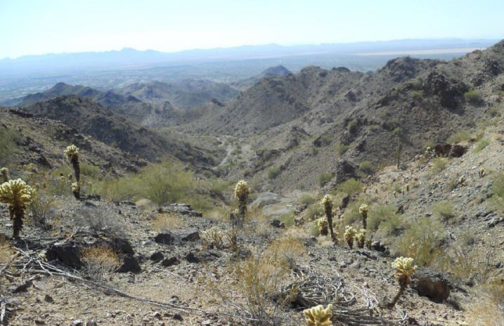 Typical Yuma King Property Topography (view looking west)
